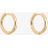 splendid Shashi Super Katerina Mini Hoop Earrings