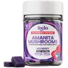 Olofly Mix Berry Feela 1:2:1 Ratio Amanita Mushroom Gummies 3500mg