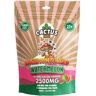 Olofly Watermelon Cactus Labs Amanita Muscara Mushroom Gummies 2500mg