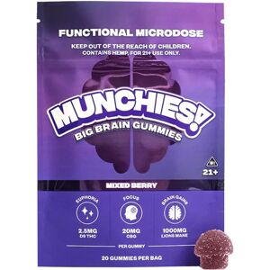 Olofly Mixed Berry Munchies Functional Microdose Big Brain Gummies 20ct