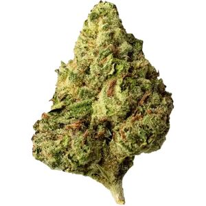 Olofly Sky Force URB Fly High Premium Economy Frequent Flyer Flower 3.5g