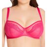 Curvy Kate Women's Eye Spy Balcony Bra in Hot Pink (CK2610)   Size 36E   HerRoom.com