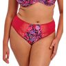 Elomi Women's Morgan Full Brief Panty in Sunset Meadow (EL4118)   Size XL   HerRoom.com