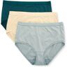 Vanity Fair Women's Comfort Where it Counts Brief Panty - 3 Pack in Beige (13463)   Size 6   HerRoom.com