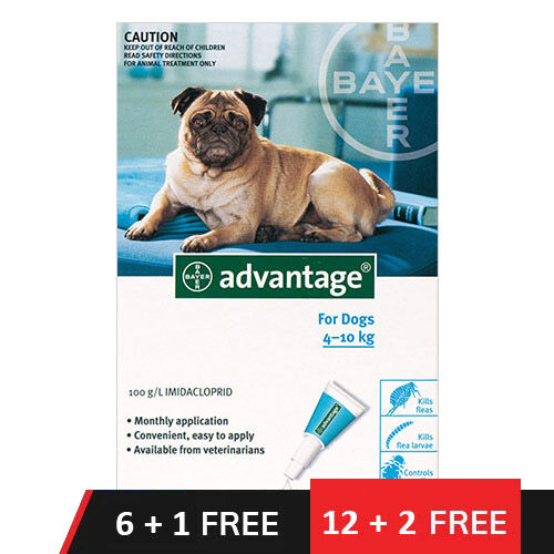 Advantage Medium Dogs 11-20lbs (Aqua) 12 + 2 Doses Free