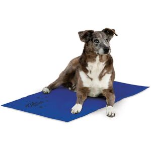 K&H Cooling Pad for Dogs, 27"L X 38"W, X-Large, Blue