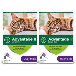 Advantage II Bayer Once-A-Month Cat & Kitten Topical Flea Treatment Over 9 lbs., 2 Packs of 6, 12 CT