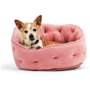 EveryYay Snooze Fest Pink High-Back Bolster Cat Bed, 18" L X 18" W X 11" H, Small, Pink