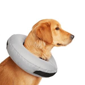 Well & Good Inflatable Collar for Dogs and Cats, Large/ X-Large, Large/X-Large