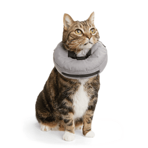 Well & Good Inflatable Recovery Cat Collar, Regular