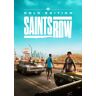 Saints Row Gold Edition PC (WW)
