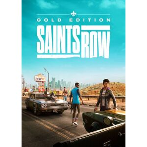 Saints Row Gold Edition PC (WW)
