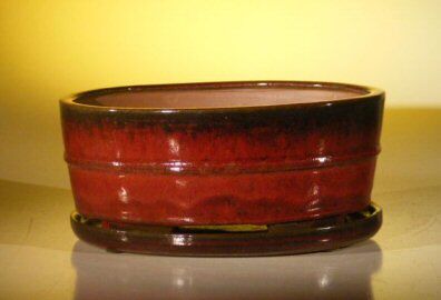 Bonsai Boy Parisian Red Ceramic Bonsai Pot - Oval <br>Professional Series with Attached Humidity/Drip Tray <br><i>10.75 x 8.5 x 4.125</i>