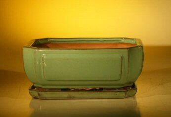 Bonsai Boy Green Ceramic Bonsai Pot - Rectangle <br>Professional Series With Attached Humidity/Drip tray <br>10.75 x 8.5 x 4.125