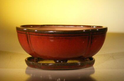 Bonsai Boy Parisian Red Ceramic Bonsai Pot - Oval / Lotus Shaped <br>Professional Series With Attached Humidity/Drip tray <br><i>10.75 x 8.5 x 4.125</i>