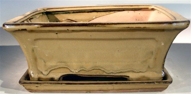 Bonsai Boy Olive Green Ceramic Bonsai Pot - Rectangle <br>Professional Series with Attached Humidity/Drip Tray <br><i>10.25 x 8.0 x 4.125 OD<br>9.0 x 7.0 x 3.25 ID</i>