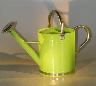 Bonsai Boy Zinc Watering Can - Pastel Green Color<br>9.5 x 5.5 10.0 Tall