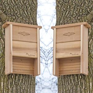 Woodlink Audubon Cedar Bat Shelters, Pack of 2, 40 bats, NABAT-CP2