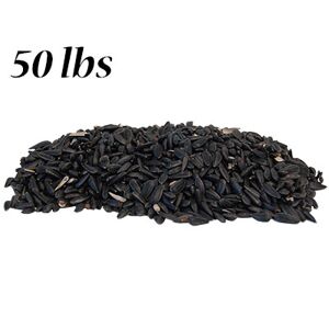 BestNest Black Oil Sunflower Seed, 50 lbs, BOS-50