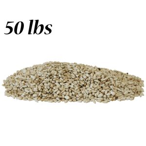 BestNest Safflower Seed, 50 lbs, SAF-50