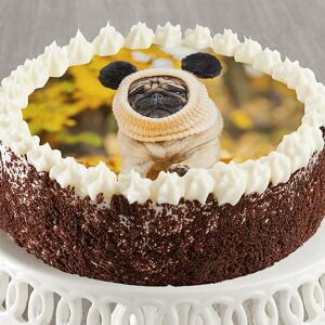 Bake Me a Wish Personalized Photo Cake