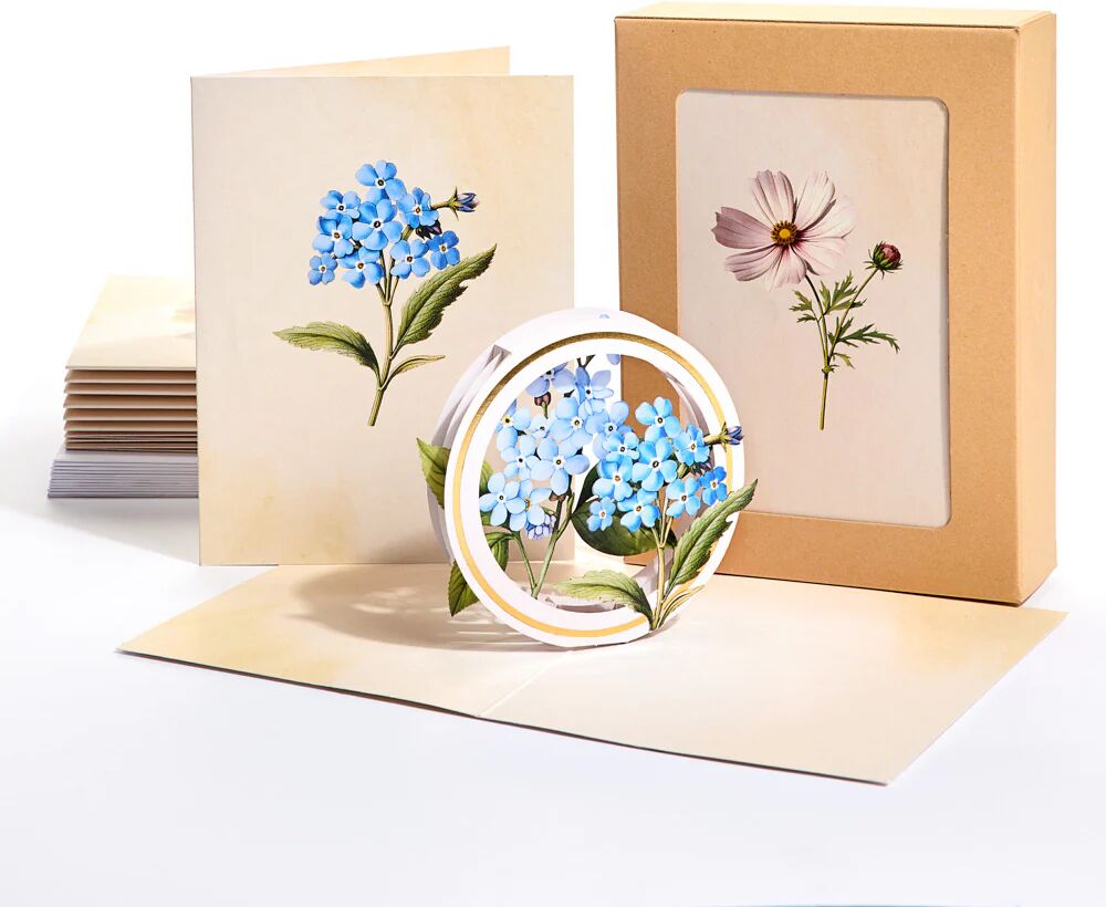 Lovepop Beautiful Botanicals 12-Pack Box Set of Blank Notecards: Paperpop® Card