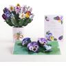 Lovepop Mother's Day Pansy Bundle