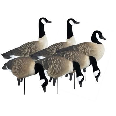 """Higdon Outdoors""" """Higdon Outdoors APEX Full-Size Full-Body Variety Pack Decoy Canada 6 Pack 72237"""