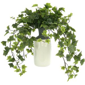 Creative Labs Displays Ivy Arrangement in Tall Ceramic Vase Green NoSize