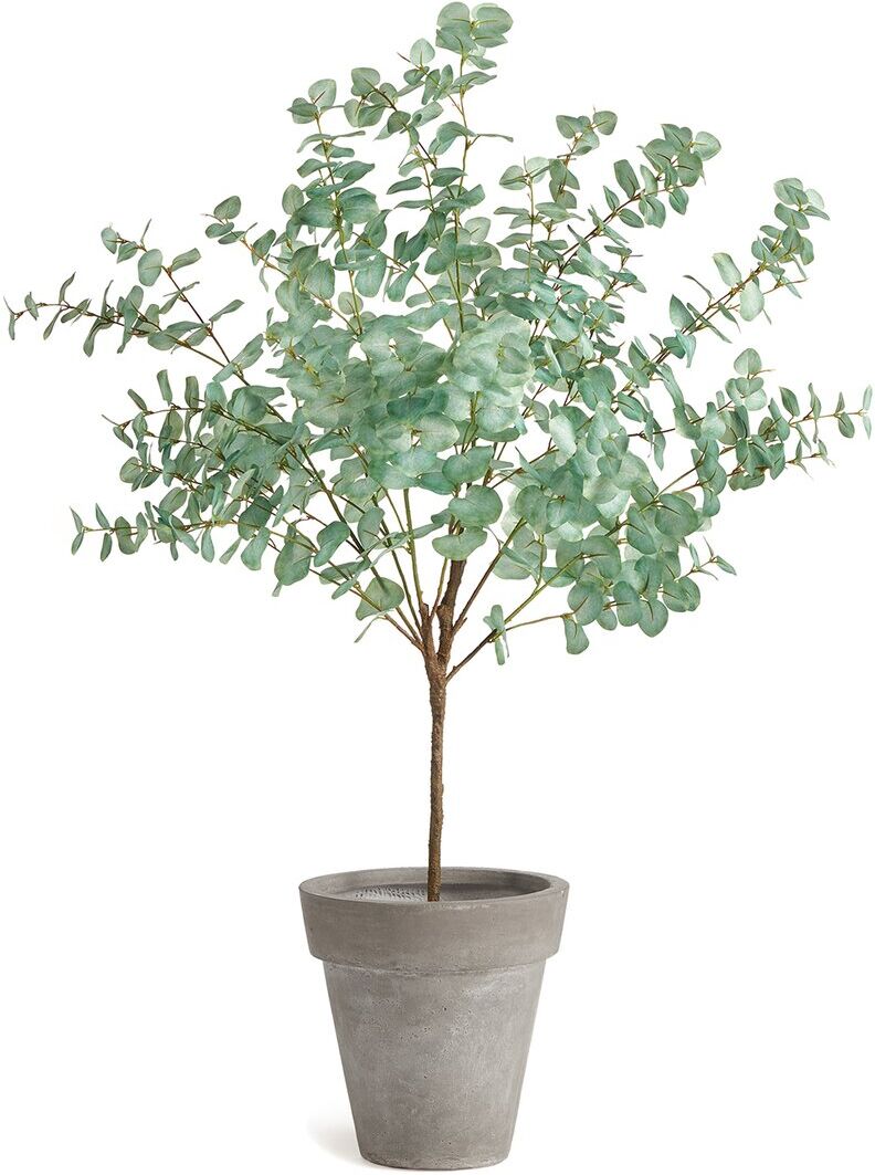 Napa Home & Garden Eucalyptus Tree Drop-In 49in Green NoSize