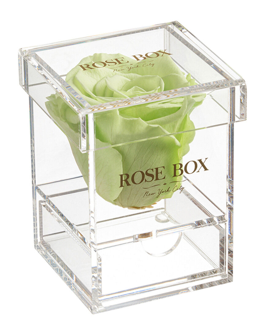 Rose Box NYC Single Light Green Rose Jewelry Box Green NoSize
