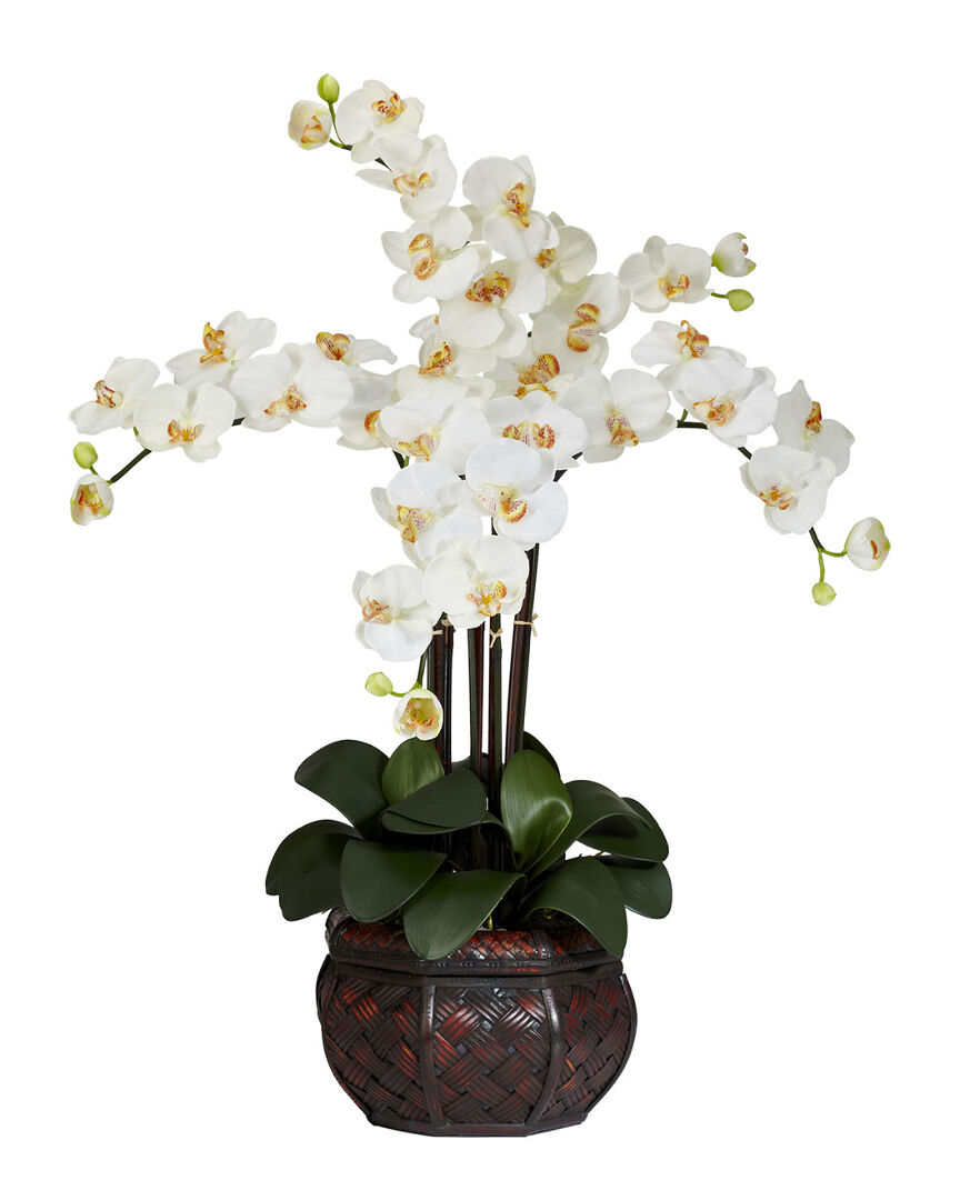 Nearly Natural Phalaenopsis with Decorative Vase Silk Flower Arrangement NoColor NoSize