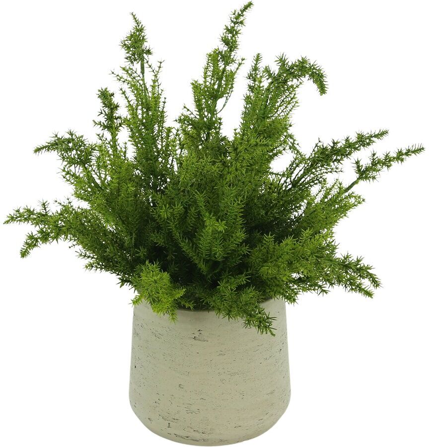 Creative Labs Displays Green Cedar Plant Floral Arrangement Green NoSize