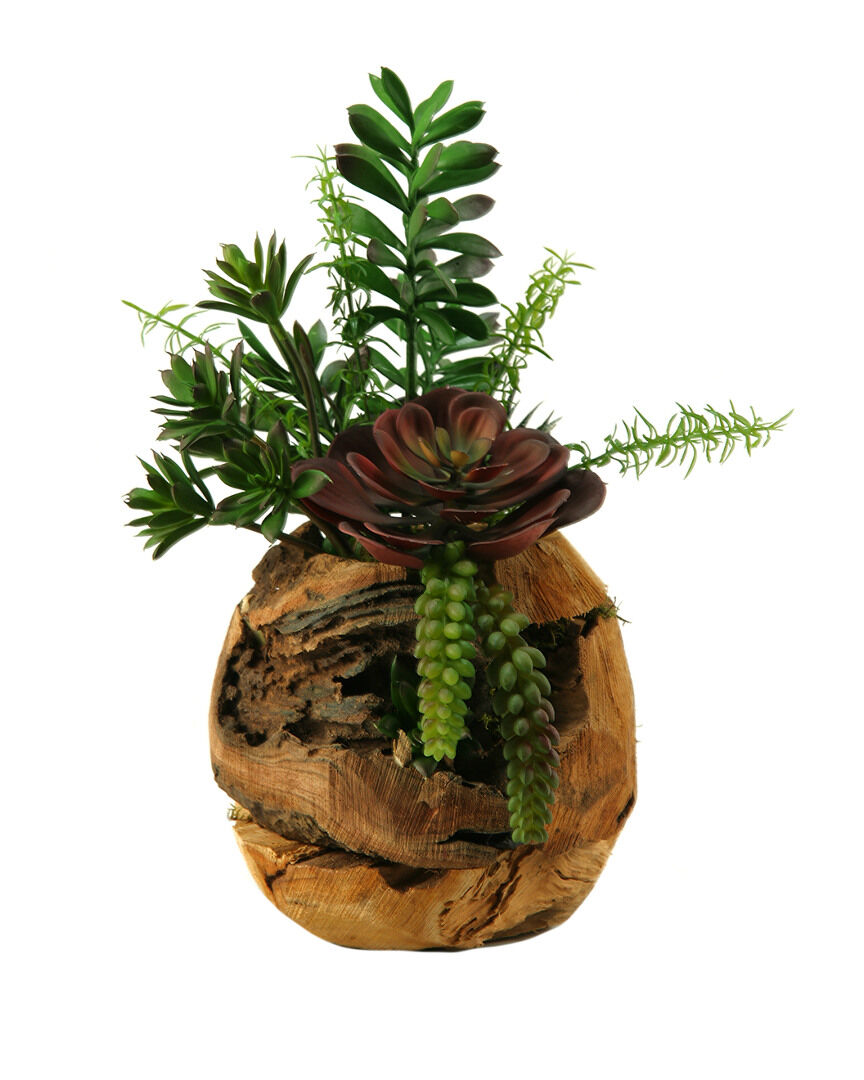 D&W Silks Jade Plant, Aloe, Echeveria and Mini Dracaena in Wooden Root Ball Planter NoColor NoSize