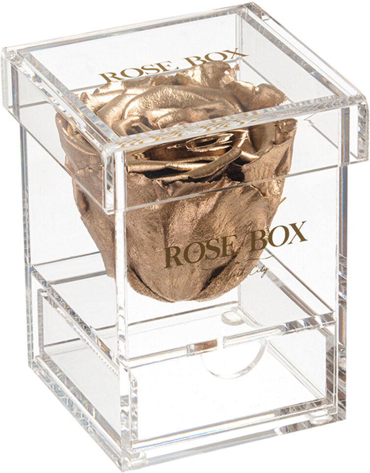 Rose Box NYC Single Gold Rose Jewelry Box Metallic NoSize