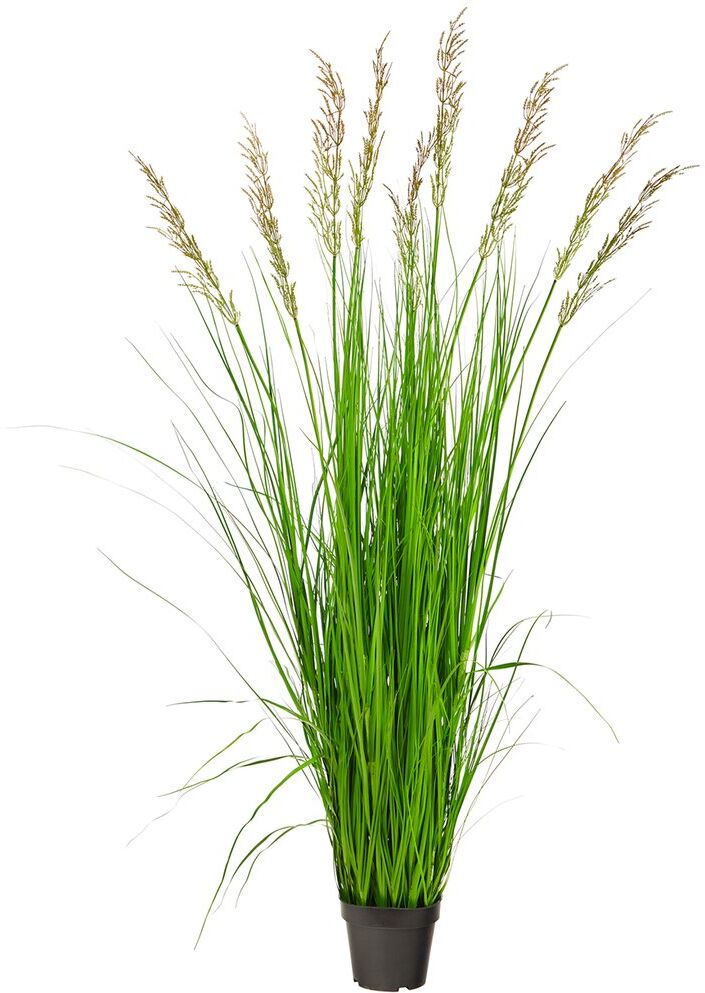 Nearly Natural 5.5ft Plume Grass Artificial Plant Green NoSize