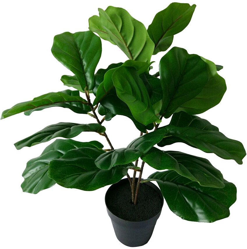 A&B Home 24in Artificial Potted Fiddle Leaf Tree NoColor NoSize