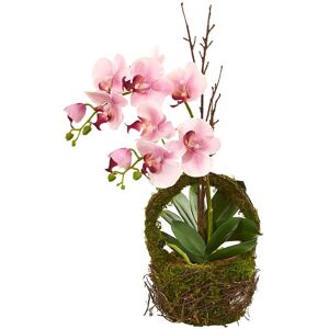 Nearly Natural Phalaenopsis Orchid Artificial Arrangement in Twig Basket Pink NoSize