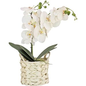 National Tree Company 21In White Orchid Flower In White Basket White NoSize
