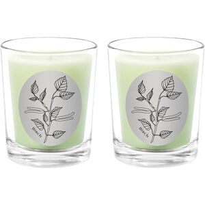 Qualitas Candles Birch Two Scented Beeswax Candle Set White 13oz