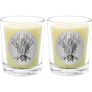 Qualitas Candles Vetiver Two Scented Beeswax Candle Set White 13oz