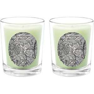 Qualitas Candles Floreo Two Scented Beeswax Candle Set White 13oz