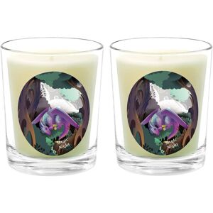 Qualitas Candles Magic Night Two Scented Beeswax Candle Set White NoSize