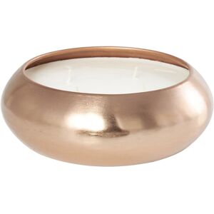 Peyton Lane White Wax Tropical Breeze Scented Wide Dome Shaped 60oz 4-Wick Candle NoColor NoSize