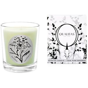 Qualitas Candles Excellent Launderette 6.5oz Beeswax Candle NoColor NoSize