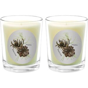Qualitas Candles Pinecone Two Scented Beeswax Candle Set White NoSize