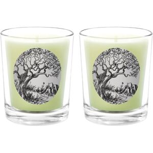 Qualitas Candles Amber Two Scented Beeswax Candle Set White 13oz