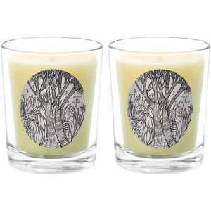 Qualitas Candles Port Au Prince Two Scented Beeswax Candle Set White 13oz