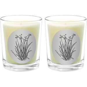 Qualitas Candles Citronella Two Scented Beeswax Candle Set White 13oz