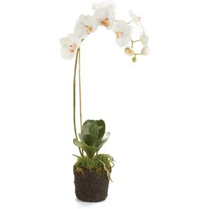 Napa Home & Garden 26in Phalaenopsis Orchid Drop-In White NoSize